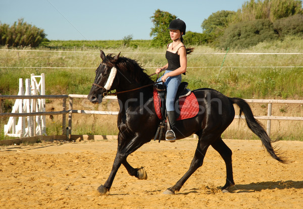 horse and woman in dressage Stock photo © cynoclub