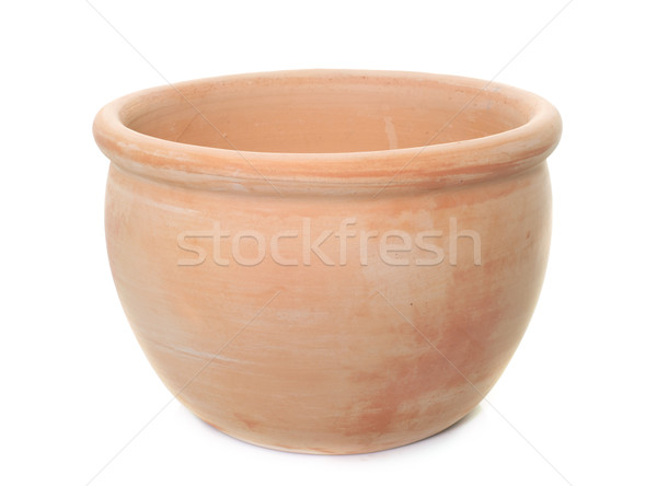 earthenware pot in studio Stock photo © cynoclub