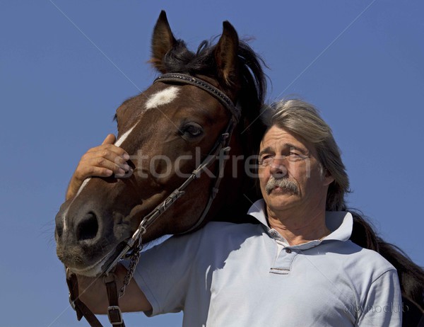 old man and horse Stock photo © cynoclub
