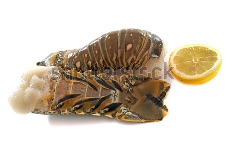 tails of spiny lobster Stock photo © cynoclub