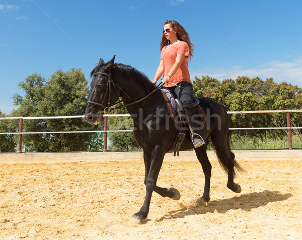 верховая езда девушки жеребец подготовки женщину спорт Сток-фото © cynoclub