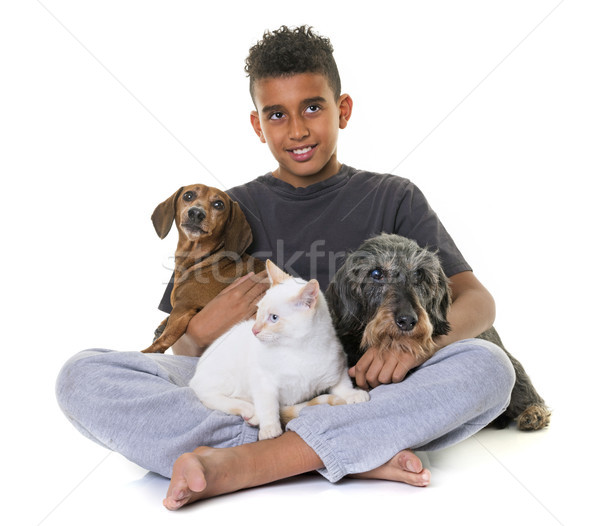 [[stock_photo]]: Chaton · garçon · vieux · blanche · heureux · enfant