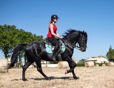 Foto stock: Equitación · mujer · playa · negro · semental