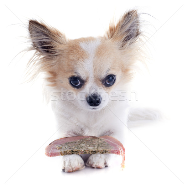 chihuahua meat