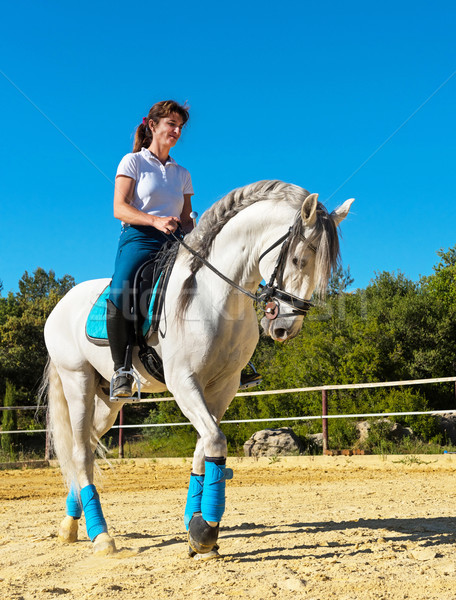 Equitação mulher garanhão branco treinamento escolas Foto stock © cynoclub