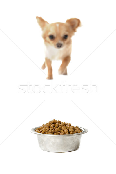 [[stock_photo]]: Alimentaire · bol · portrait · cute · marche