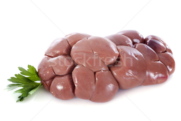 calf kidney Stock photo © cynoclub