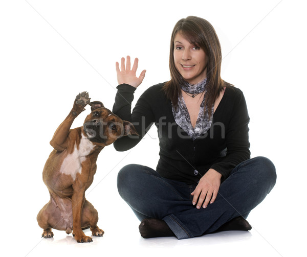 woman and staffordshire bull terrier Stock photo © cynoclub