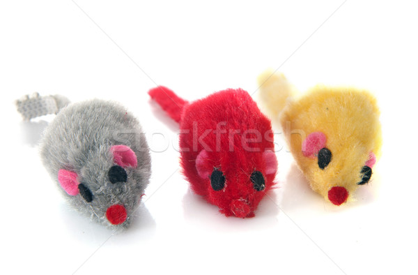 three mouses for cat Stock photo © cynoclub