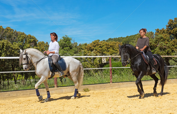 Equitación mujer semental blanco formación escuela Foto stock © cynoclub