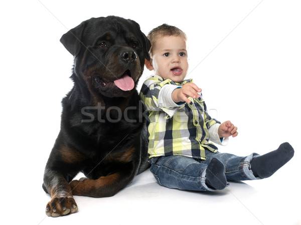 Stock fotó: Kicsi · fiú · rottweiler · fehér · baba · kutya