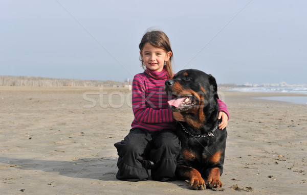 Dziecko rottweiler dziewczynka plaży biały Zdjęcia stock © cynoclub
