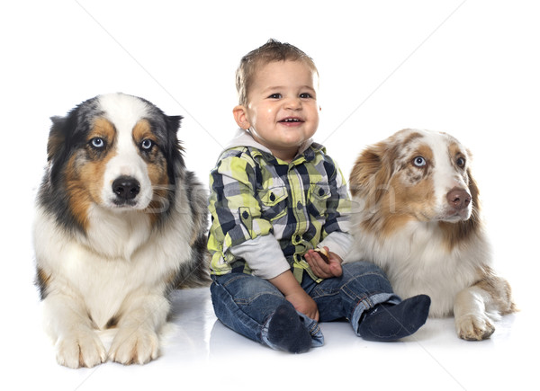 little boy and dogs Stock photo © cynoclub