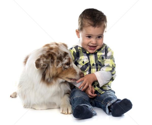 little boy and dog Stock photo © cynoclub