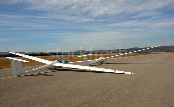 two gliders Stock photo © cynoclub