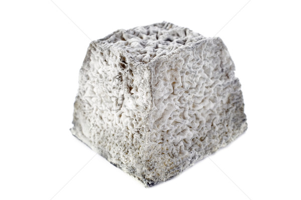 Branza de capra brânză studio Franta izolat fundal alb Imagine de stoc © cynoclub
