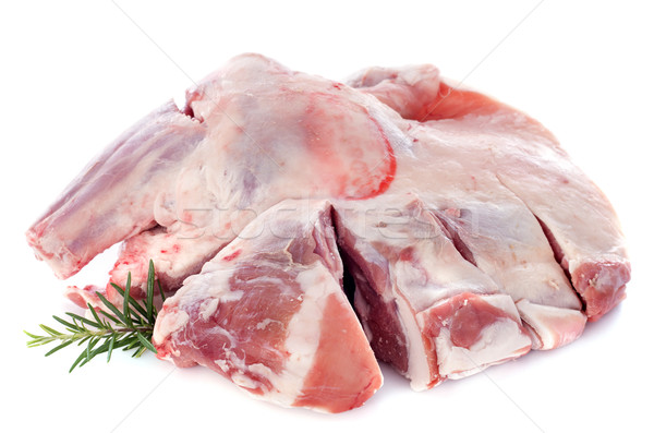 商业照片:肩· 羊肉 ·白·血·腿·骨 / shoulder of lamb in front