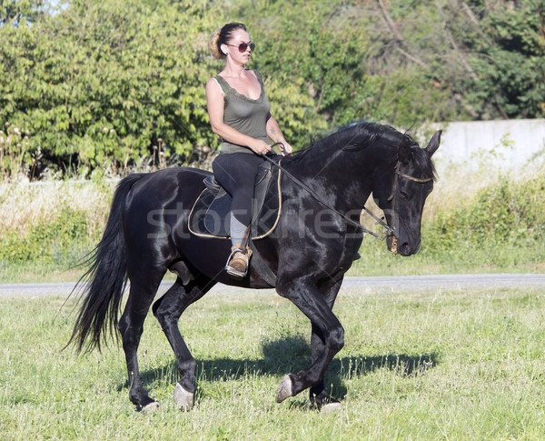 riding girl on black stallion Stock photo © cynoclub