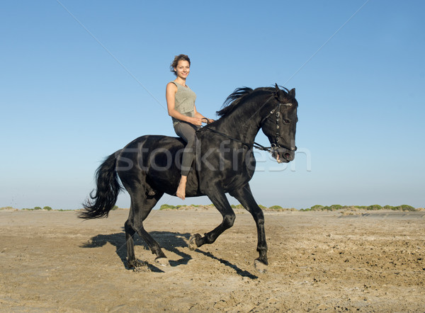 horsewoman on the beach Stock photo © cynoclub