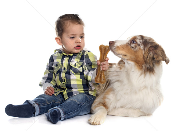 little boy and dog Stock photo © cynoclub