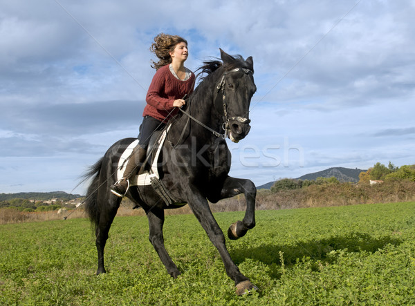Photo stock: équitation · fille · noir · étalon · nature