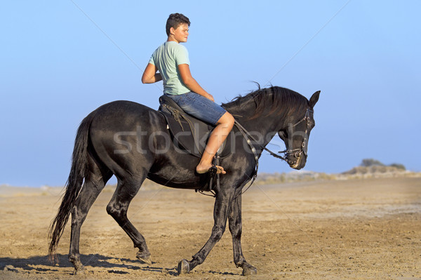 young rider on the beach Stock photo © cynoclub