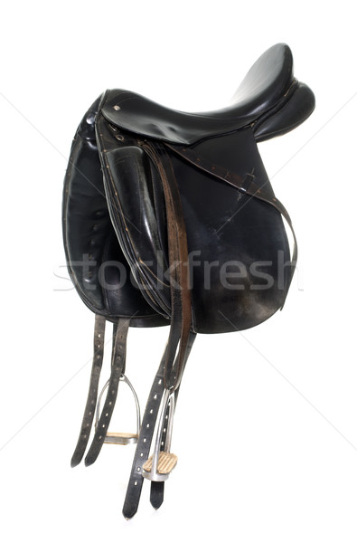 black leather saddle Stock photo © cynoclub