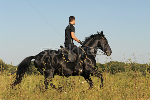 Genç at siyah aygır alan adam Stok fotoğraf © cynoclub