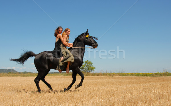 Equitación mujer dos hermosa las mujeres jóvenes negro Foto stock © cynoclub