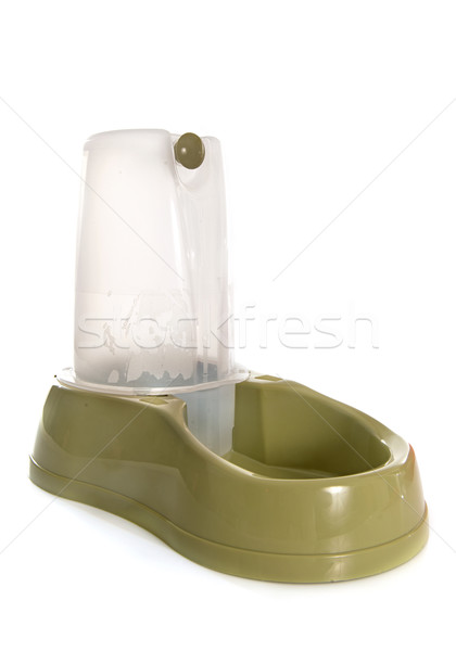 Animal eau potable fontaine blanche eau [[stock_photo]] © cynoclub