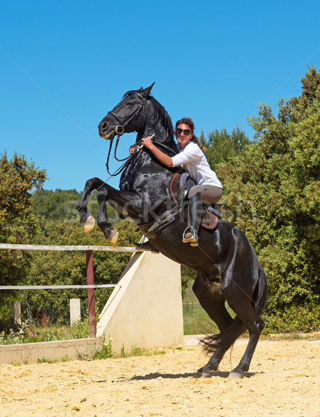 Equitación mujer semental blanco formación escuela Foto stock © cynoclub