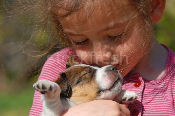 Fetita căţeluş tineri fată cap animal Imagine de stoc © cynoclub