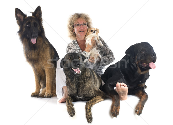 Stock photo: woman and dogs