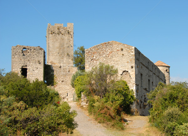 tornac castle in Gard, France Stock photo © cynoclub
