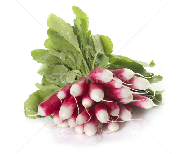 [[stock_photo]]: Radis · studio · rouge · blanche · légumes