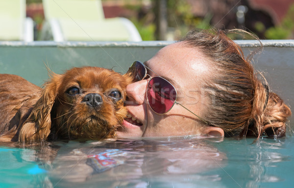 cavalier king charles and girl  in swimming pool Stock photo © cynoclub