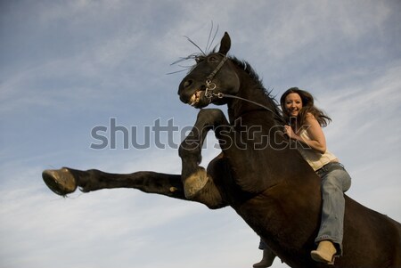 happy girl and rearing stallion Stock photo © cynoclub