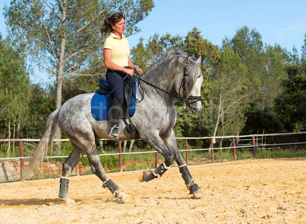équitation fille étalon formation gris Photo stock © cynoclub