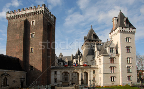 Castel of Pau Stock photo © cynoclub