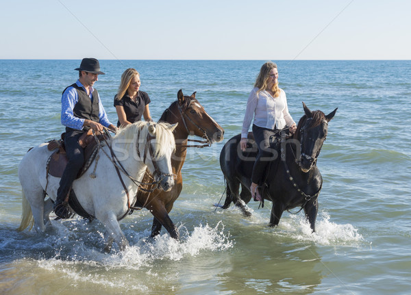 group of horse riders Stock photo © cynoclub