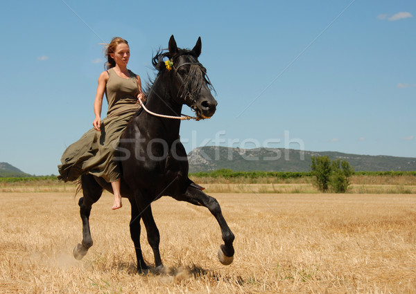 Equitación adolescente negro semental pradera Foto stock © cynoclub