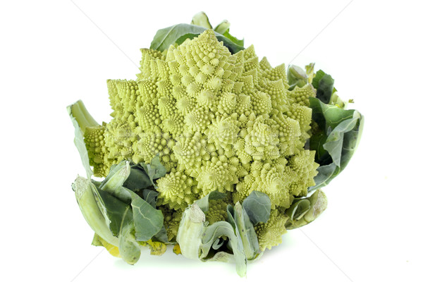 Romanesco broccoli Stock photo © cynoclub