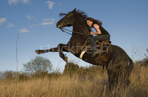 rearing stallion and girl Stock photo © cynoclub
