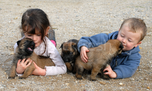 children and puppies Stock photo © cynoclub