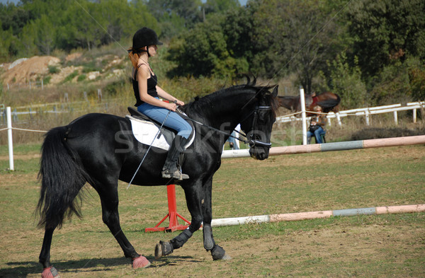 Equitación mejor amigo negro semental deporte Foto stock © cynoclub
