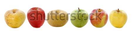 six apples Stock photo © cynoclub
