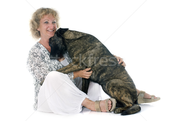 Stock photo: woman and Holland Shepherd