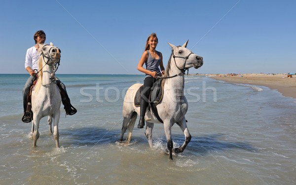 horseback riding on the beach Stock photo © cynoclub