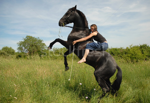 Caballo hermosa negro semental naturaleza Foto stock © cynoclub