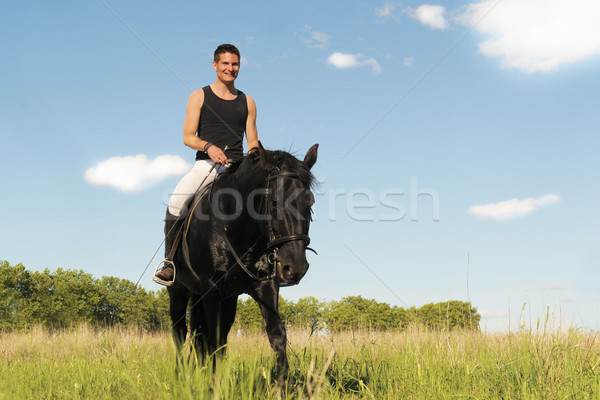 Joven caballo negro semental campo hombre Foto stock © cynoclub
